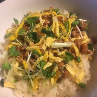 卵焼き、かいわれ大根の玄米納豆丼